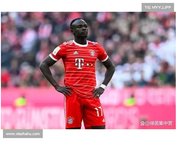 拜仁球迷热议马内是否回归聚焦他重返安联球场的期待时间